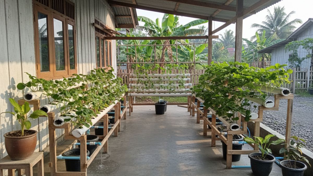 Teras rumah kampung yang dimanfaatkan jadi kebun hidroponik mini dengan tanaman buah kecil tersusun rapi dan terlihat segar