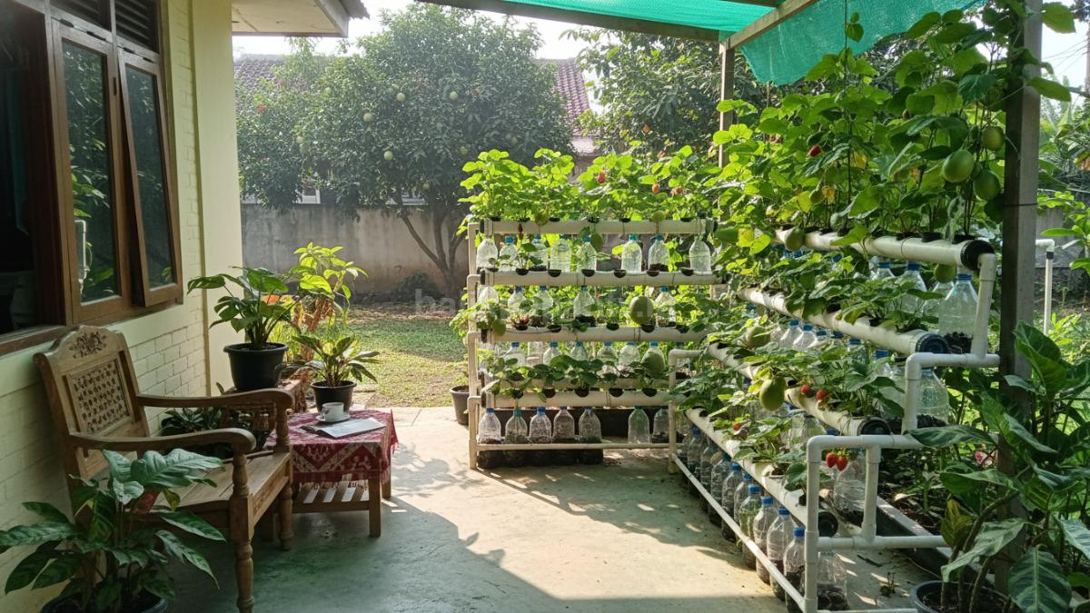 Instalasi hidroponik sederhana menggunakan botol bekas dan paralon dengan tanaman tumbuh rapi bertingkat