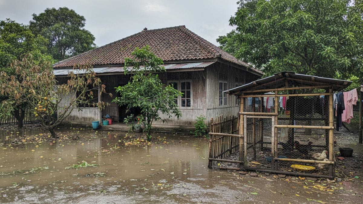 Ilustrasi kandang yang kurang terawat dan area kebun yang tergenang air sebagai contoh masalah umum