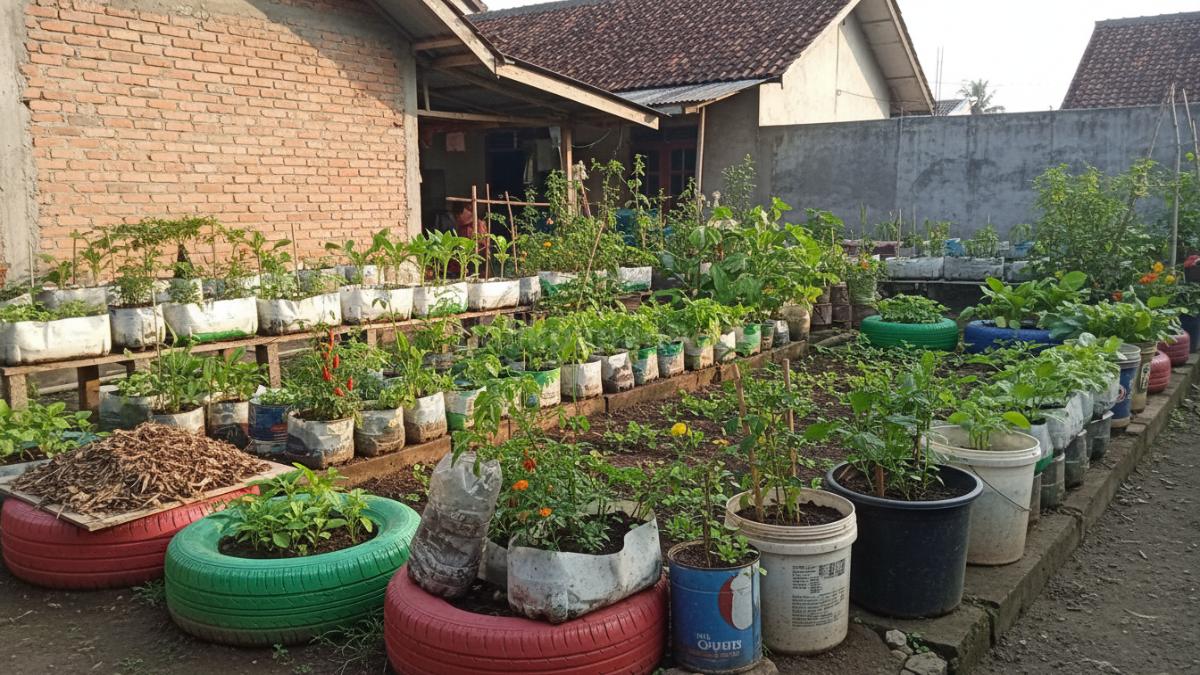 Wadah tanaman dari barang bekas dengan lubang drainase yang benar untuk mencegah air menggenang dan akar busuk