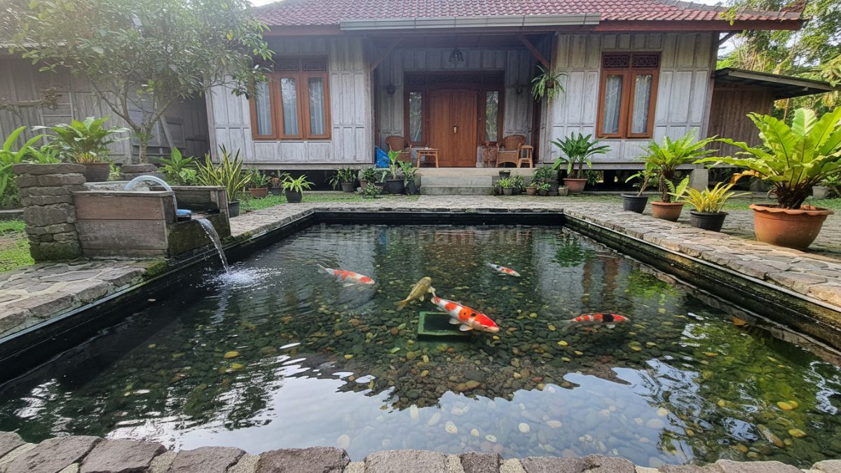 Kolam ikan dengan sistem filter sederhana, air terlihat bersih dan ikan berenang sehat sebagai contoh fungsi yang berjalan baik