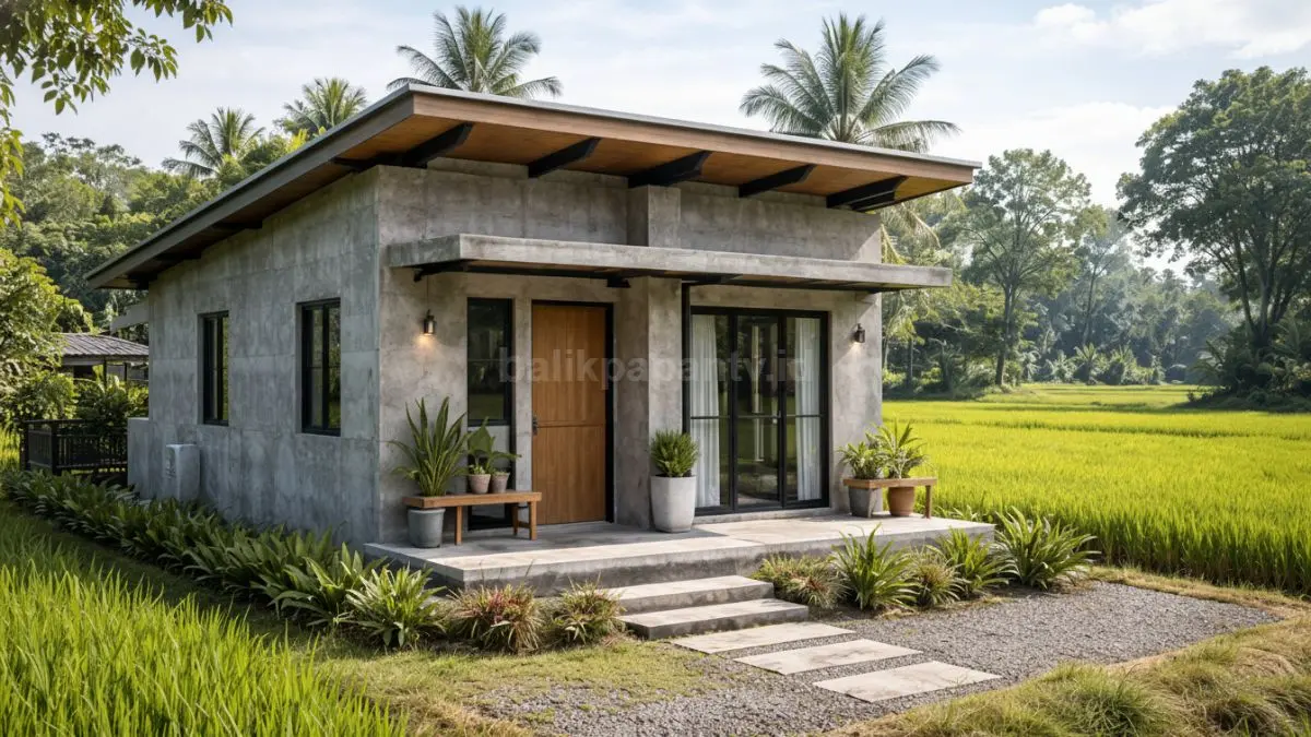 Rumah minimalis beton ekspos di pinggir sawah.