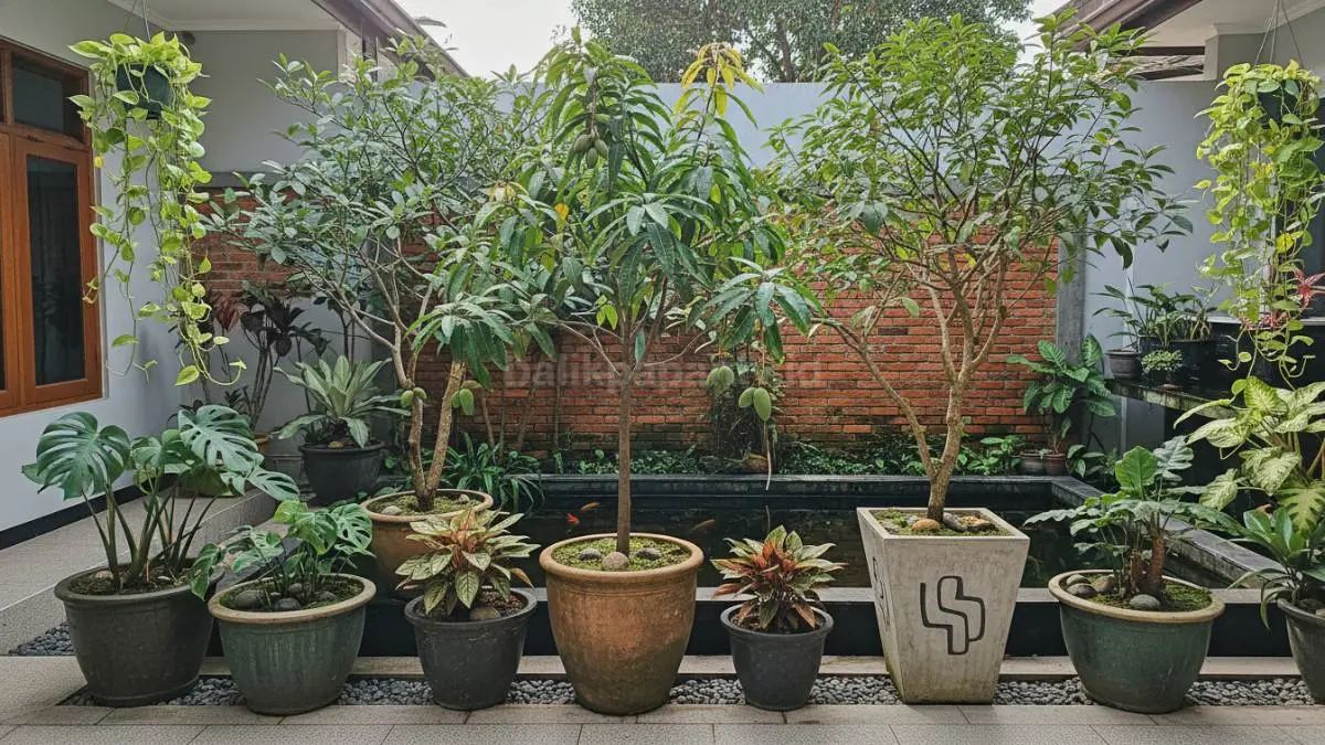 Ilustrasi beberapa tanaman hias dan tanaman buah dalam pot besar tersusun rapi di halaman rumah tropis, memberi kesan adem dan estetik.