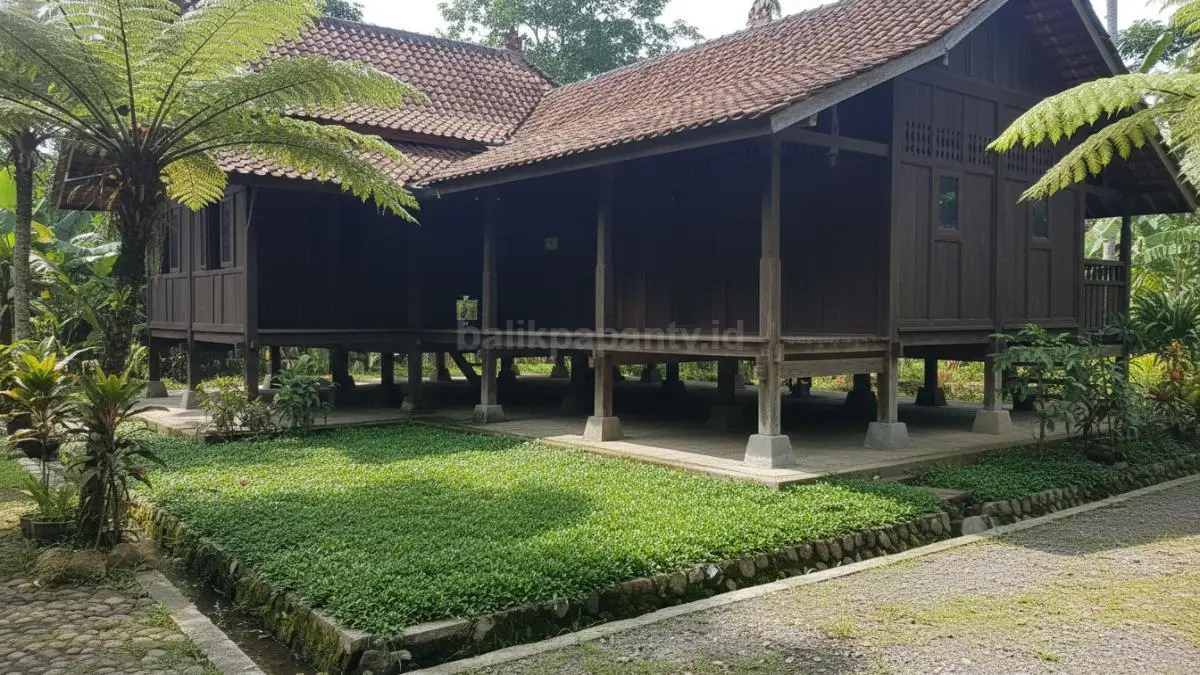 Rumput mondo pendek dan rapat membentuk garis hijau rapi di sepanjang selokan, terlihat seperti karpet alami yang memperhalus tampilan area.