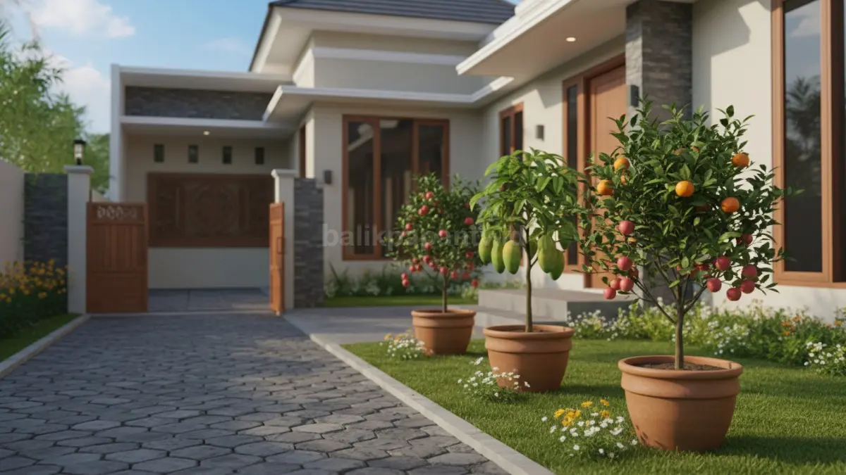 “Pohon buah mini adalah versi kompak dari pohon buah biasa, seperti apel, jeruk, atau mangga. Cocok untuk halaman terbatas, low maintenance, mudah dipangkas, cepat berbuah, dan tetap memberikan kesan hijau segar. Ideal untuk bubuhan yang ingin panen buah di rumah tanpa repot.”