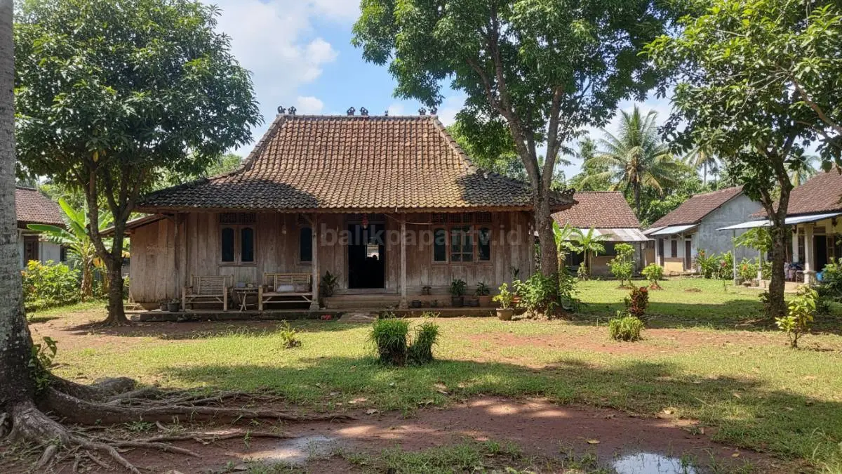 Ilustrasi halaman rumah dengan tanah terbuka, rumput, dan pepohonan yang membantu menyerap air hujan sekaligus menjaga suhu sekitar tetap sejuk.