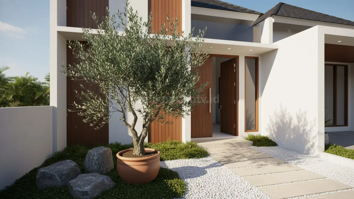 “Pohon zaitun atau Olive Tree terkenal tahan panas dan kering, cocok untuk halaman rumah yang sering terpapar matahari. Memiliki daun hijau keperakan yang elegan, low maintenance, membutuhkan sedikit air, dan bisa tumbuh dalam pot besar atau langsung di tanah. Pilihan tepat untuk tampilan halaman minimalis dan modern, sambil memberi kesan Mediterania.”