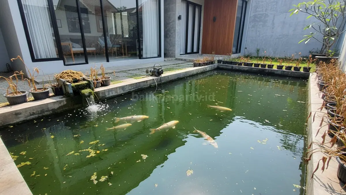 Contoh kesalahan umum pada kolam ikan rumah
