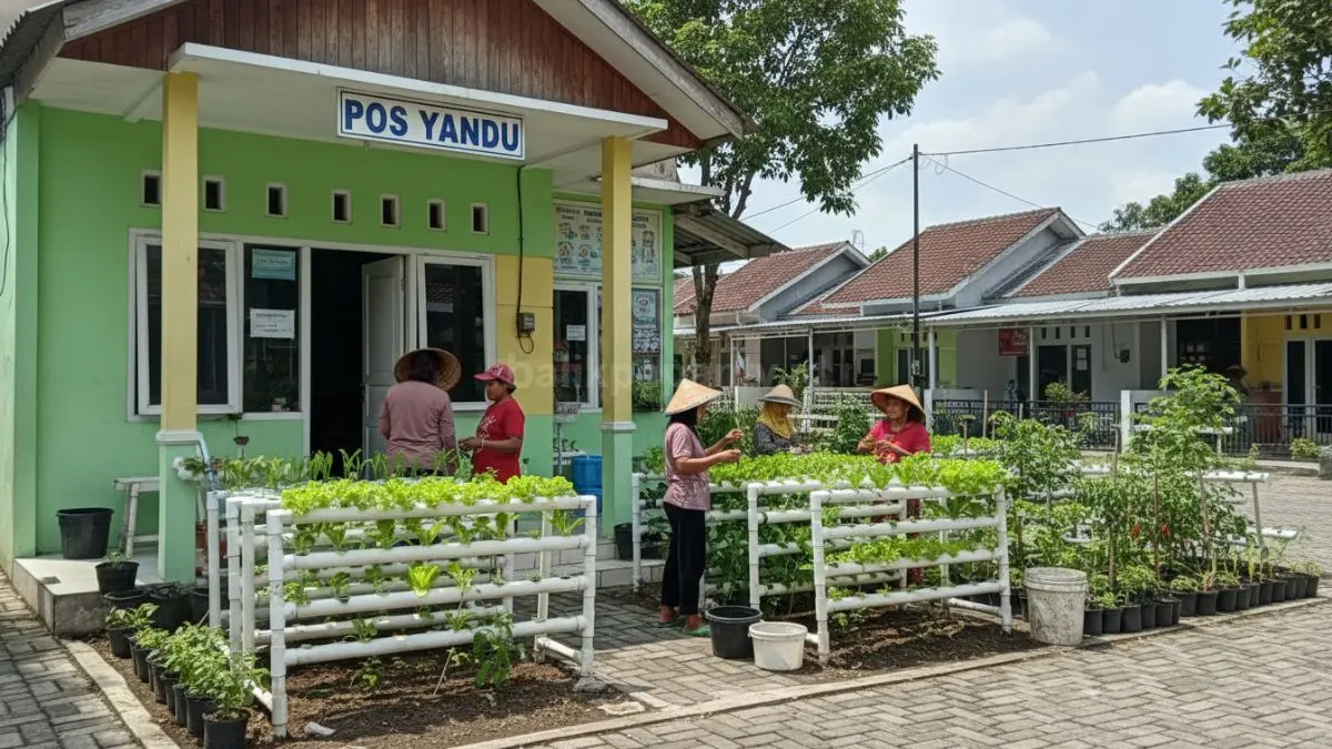 Kebun hidroponik sederhana (BTV/Ai)