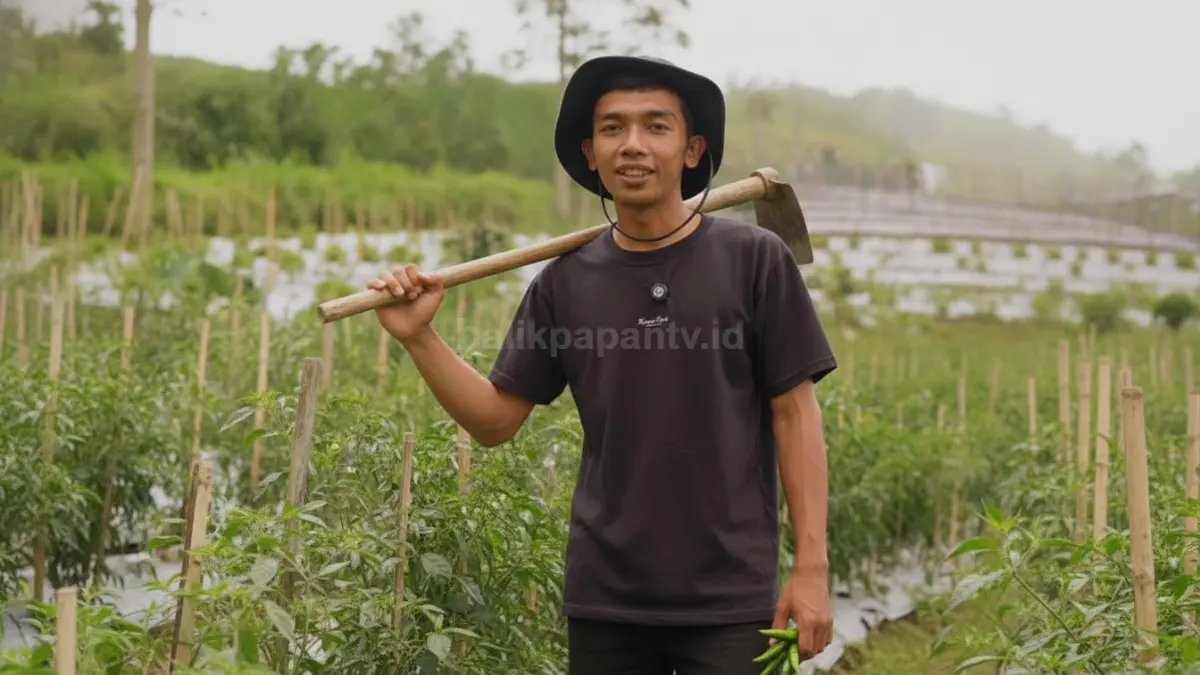 arga Sayur Lebih Stabil Setelah Ada MBG, Petani Boyolali Harap Program Terus Berlanjut
