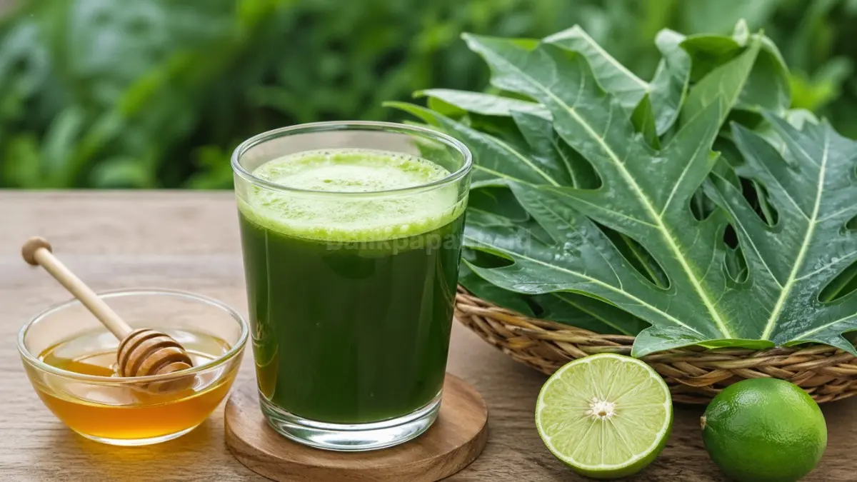 Daun pepaya dijadikan jus herbal.
