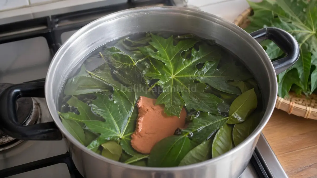 Daun pepaya direbus dengan daun jambu atau tanah liat.
