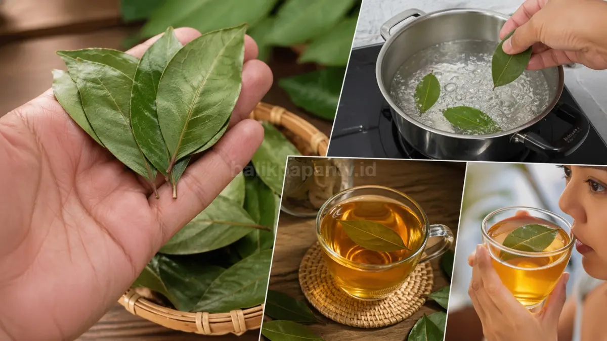 Konsumsi air rebusan daun salam secara rutin tapi terkontrol.
