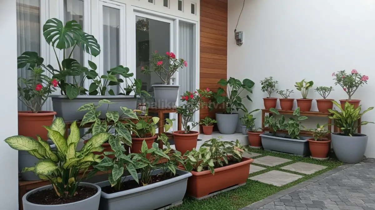 Taman kombinasi pot modular