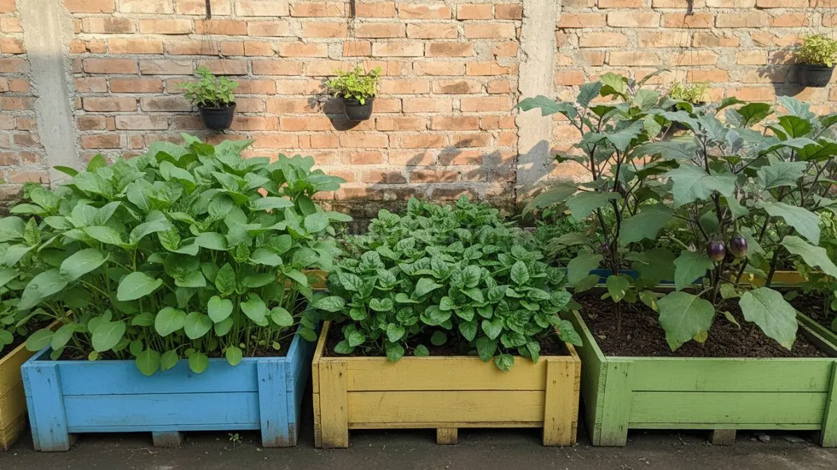Kangkung, bayam, dan terong memberi panen bergilir sehingga kebun tetap produktif sepanjang musim tanam.
