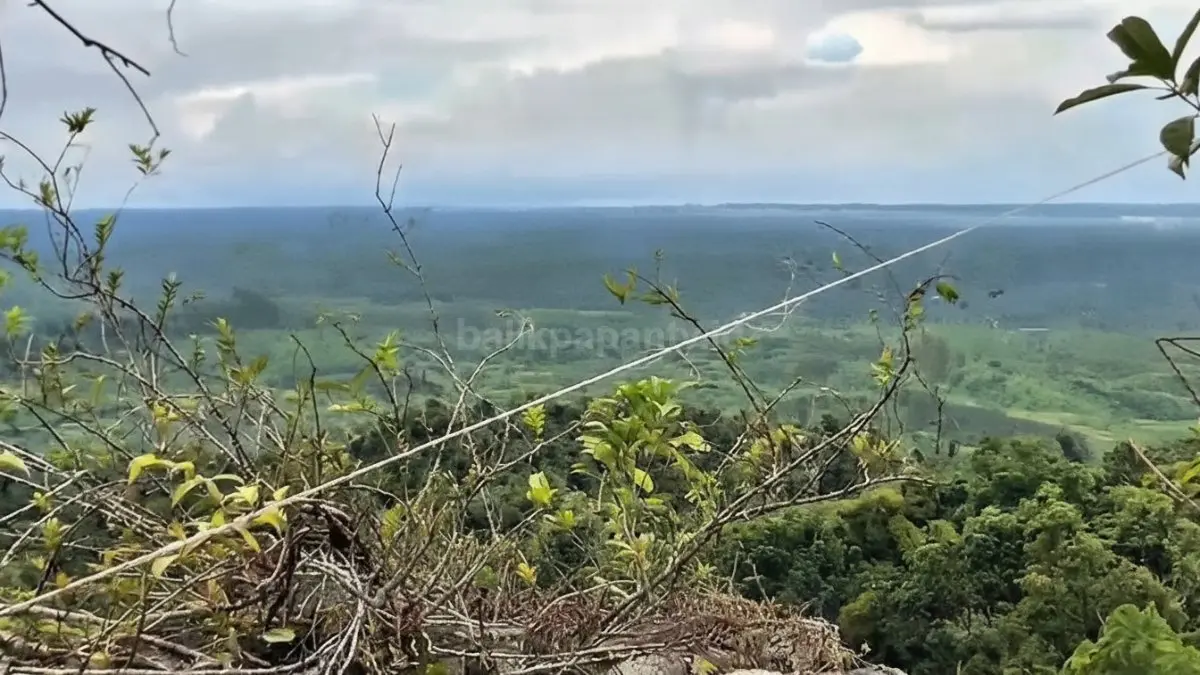 Panorama Gunung Parung di Sepaku dengan suasana alam hijau kawasan inti IKN yang ramai menarik perhatian pendaki