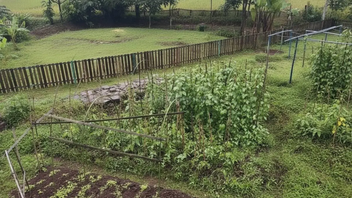 Lahan kebun sayur organik tampak dari ketinggian menggunakan drone