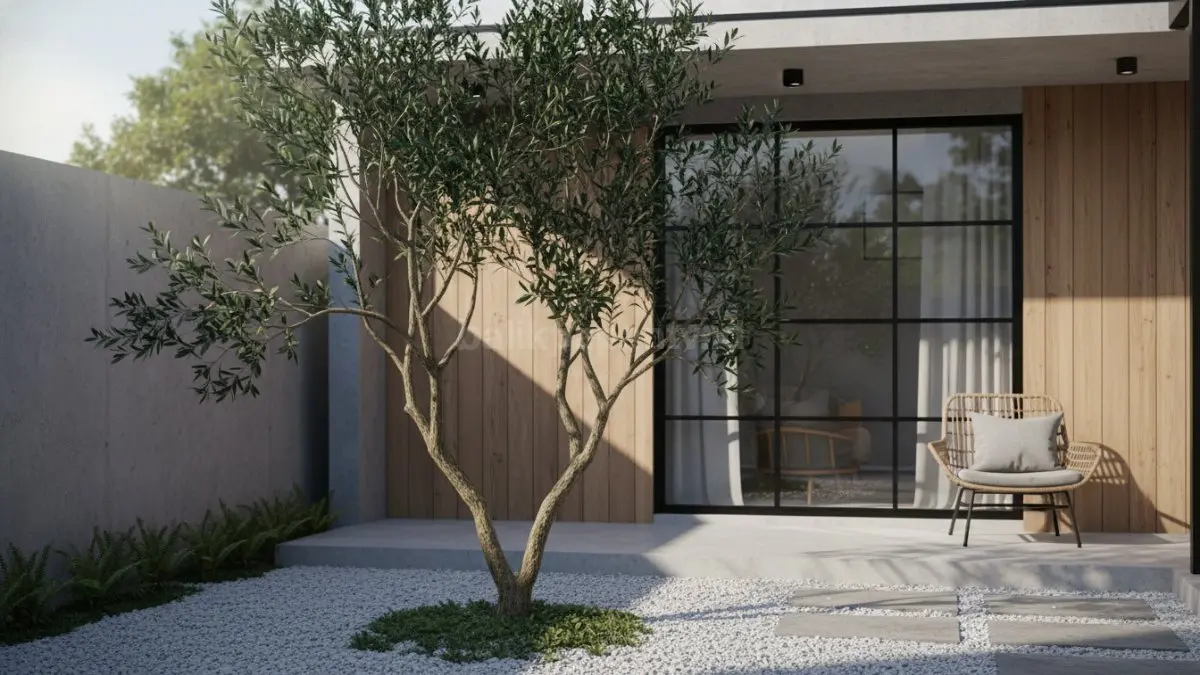 Olive Jepang dan palem putri mempercantik halaman depan rumah modern tropis 2026