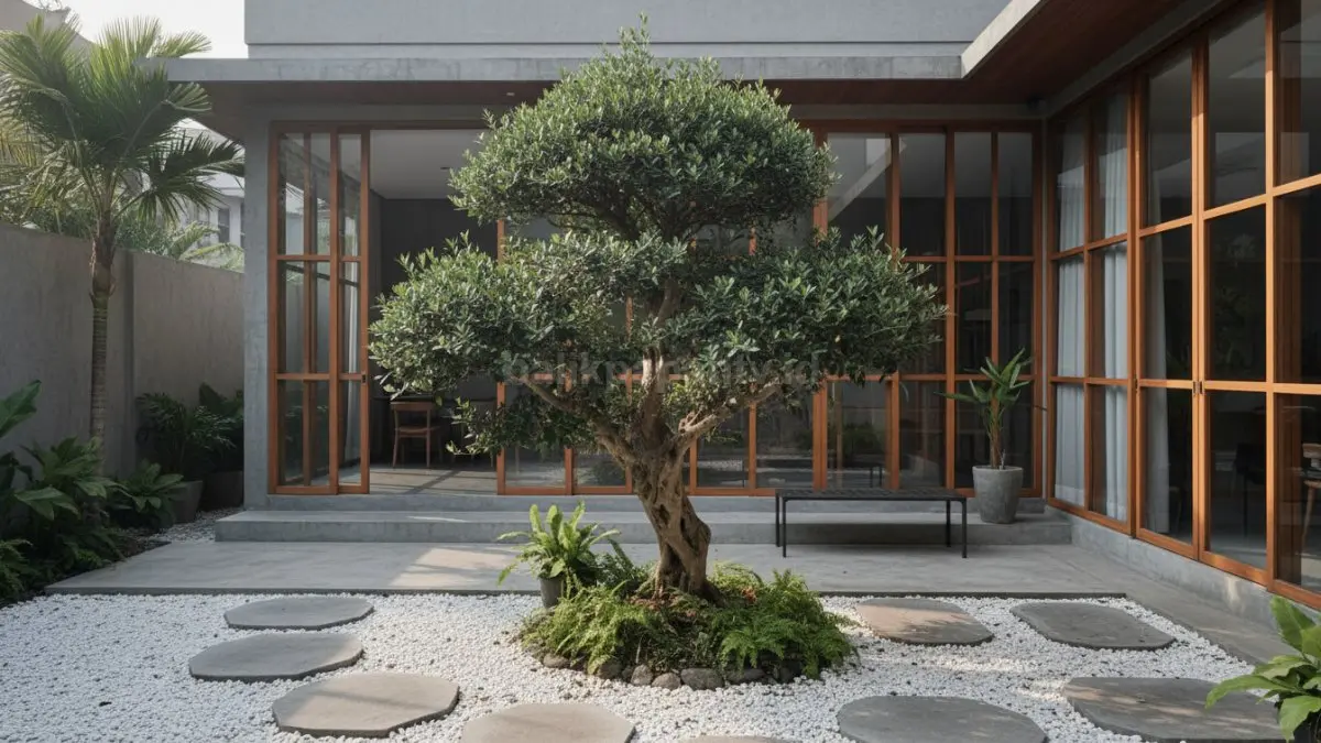 Olive Jepang mempercantik halaman depan rumah modern tropis 2026