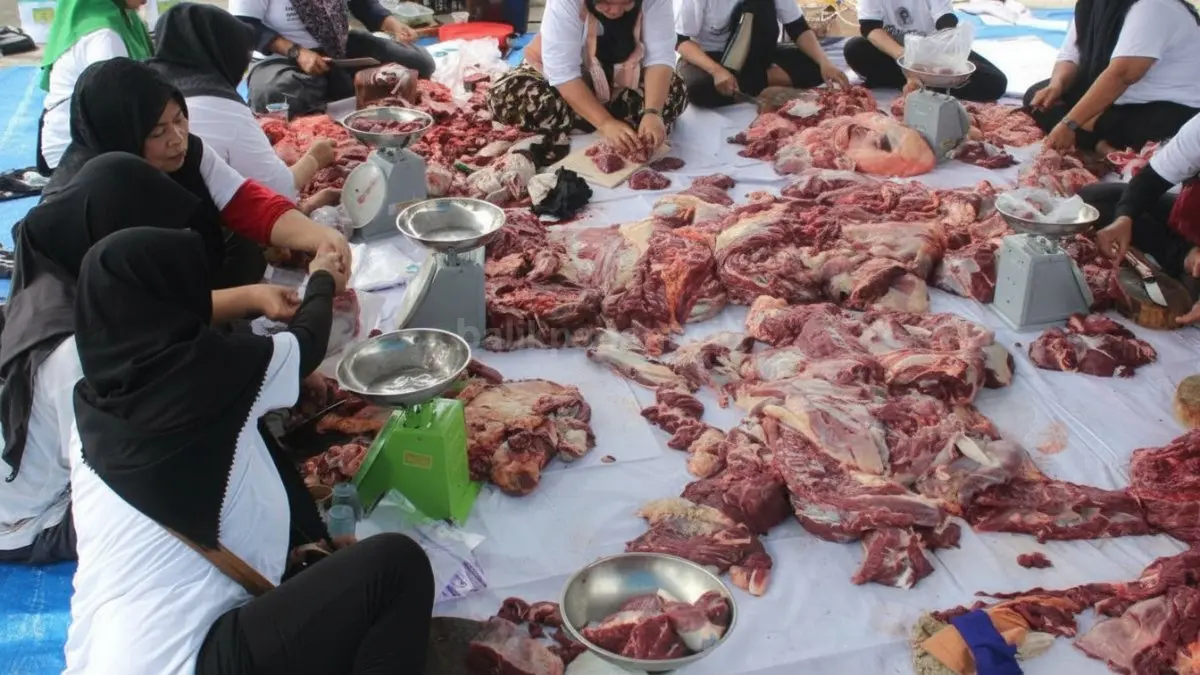 Petugas memeriksa organ hewan kurban di Balikpapan usai ditemukan kasus cacing hati pada sapi kurban.
