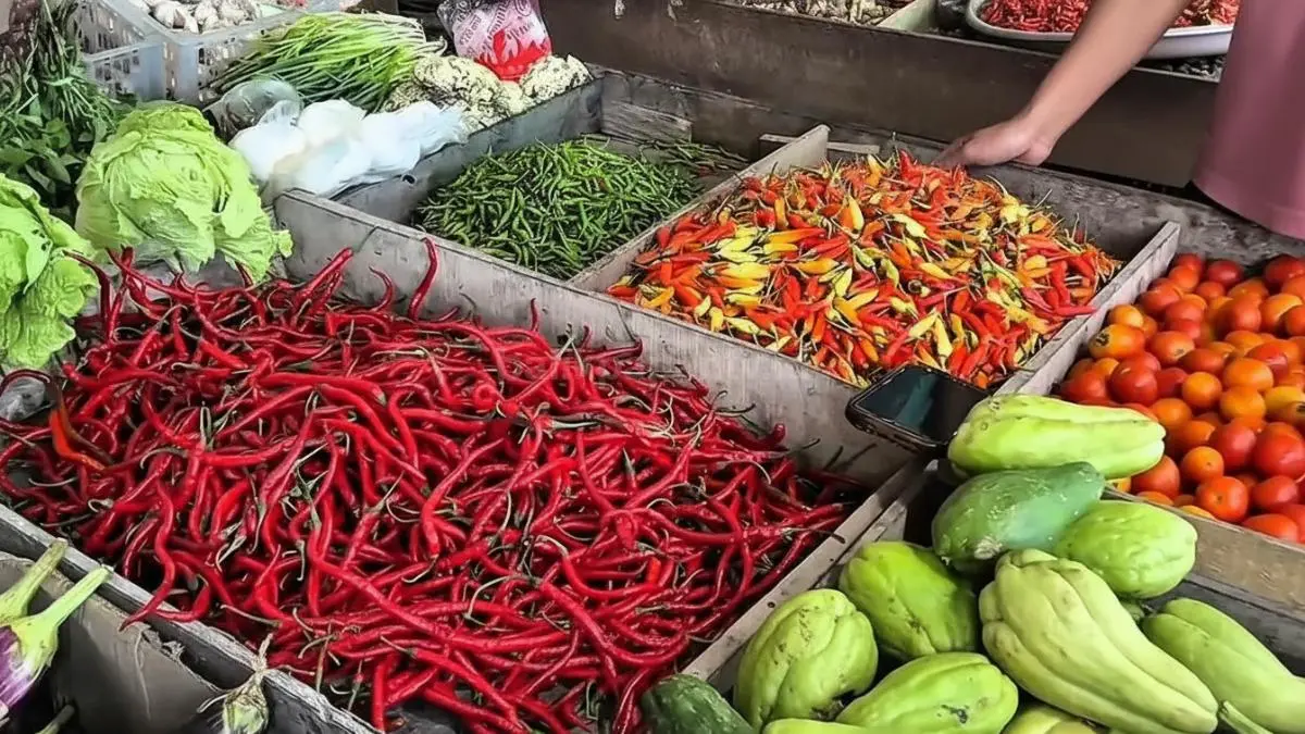 Pedagang menunjukkan cabai merah di Pasar Petung PPU saat harga kembali stabil pasca Iduladha.