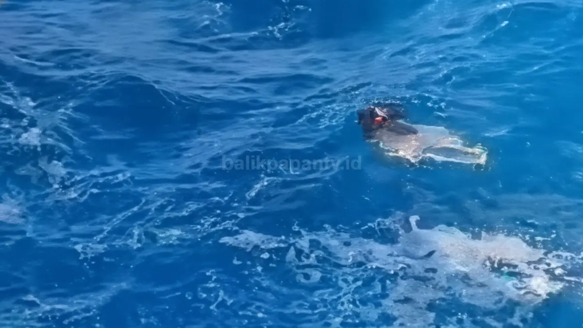Tim SAR melakukan pencarian korban di kawasan wisata Apparalang Bulukumba setelah insiden di spot foto tebing.