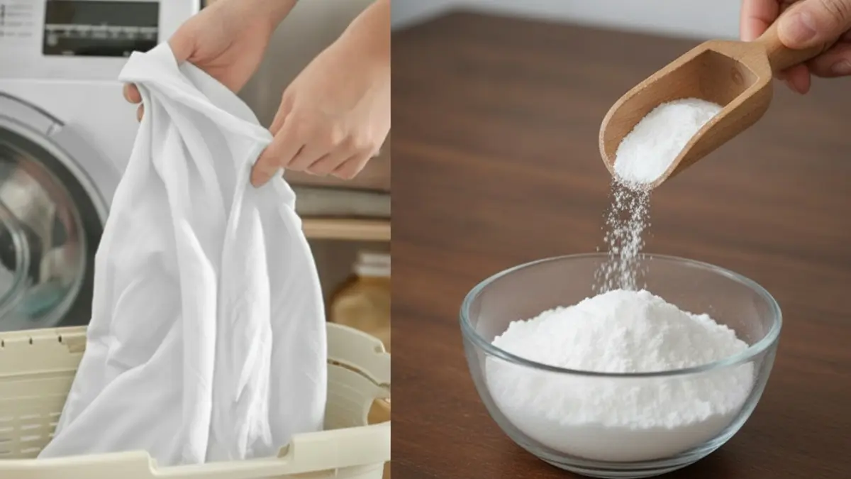 Baking soda sebagai booster membantu mengangkat noda, mengurangi bau, dan menjaga baju putih tetap bersih cerah. (BTV/AI)
