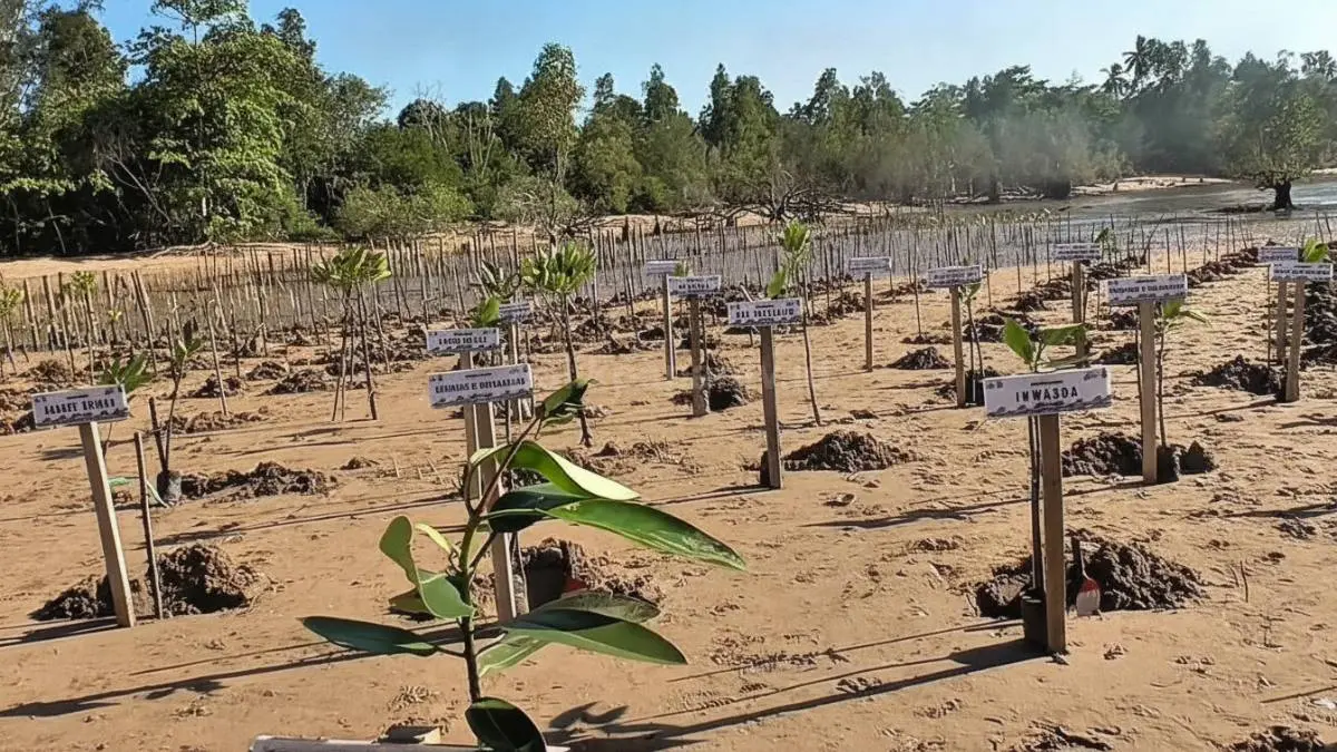 Aksi penanaman 5.000 bibit mangrove oleh jajaran Polda Kaltim bersama instansi terkait di Pantai Lamaru Balikpapan.