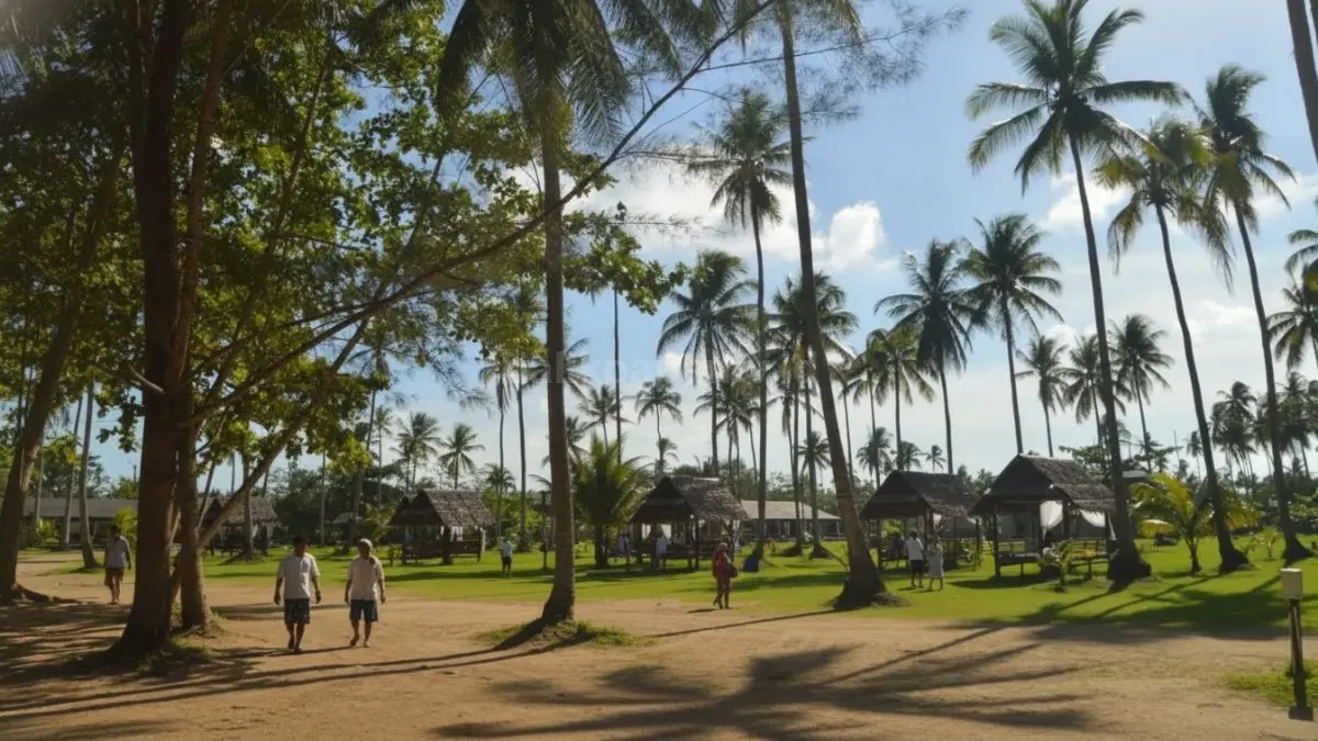 Suasana camping di Watu Beach dengan deretan pohon kelapa dan panorama pantai yang bersih.