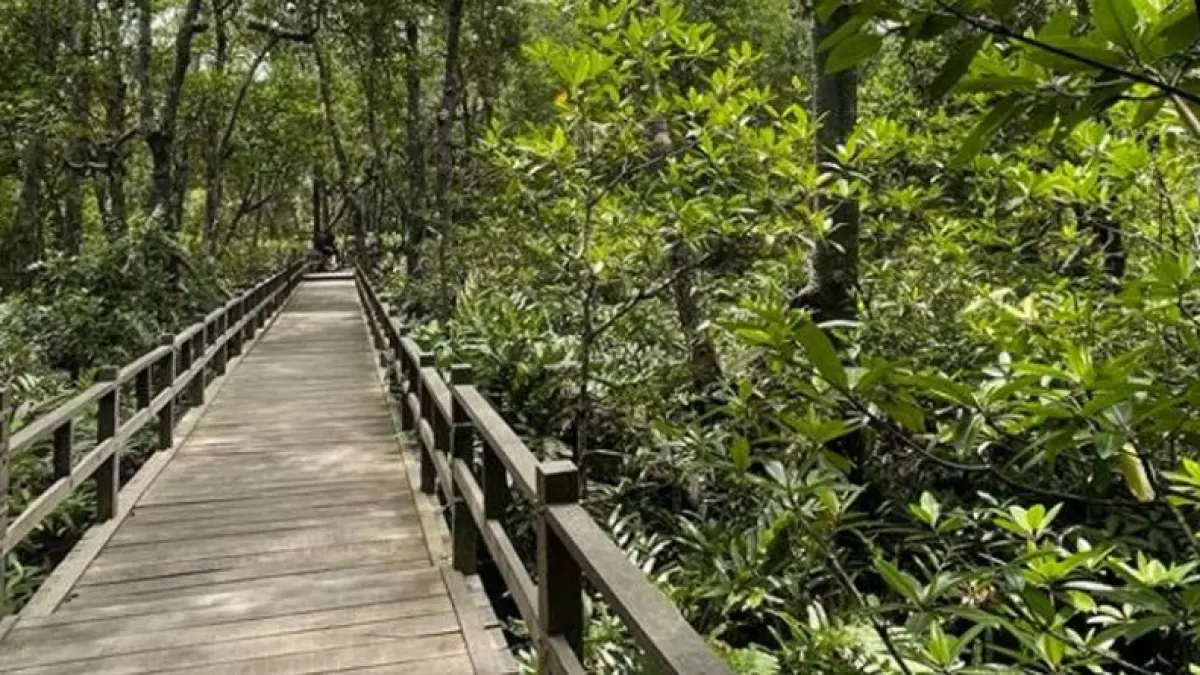Desa Wisata Klempang Sari di Kabupaten Paser bersiap menuju Lomba Desa Wisata Nasional usai menjadi juara Kalimantan Timur 2026.