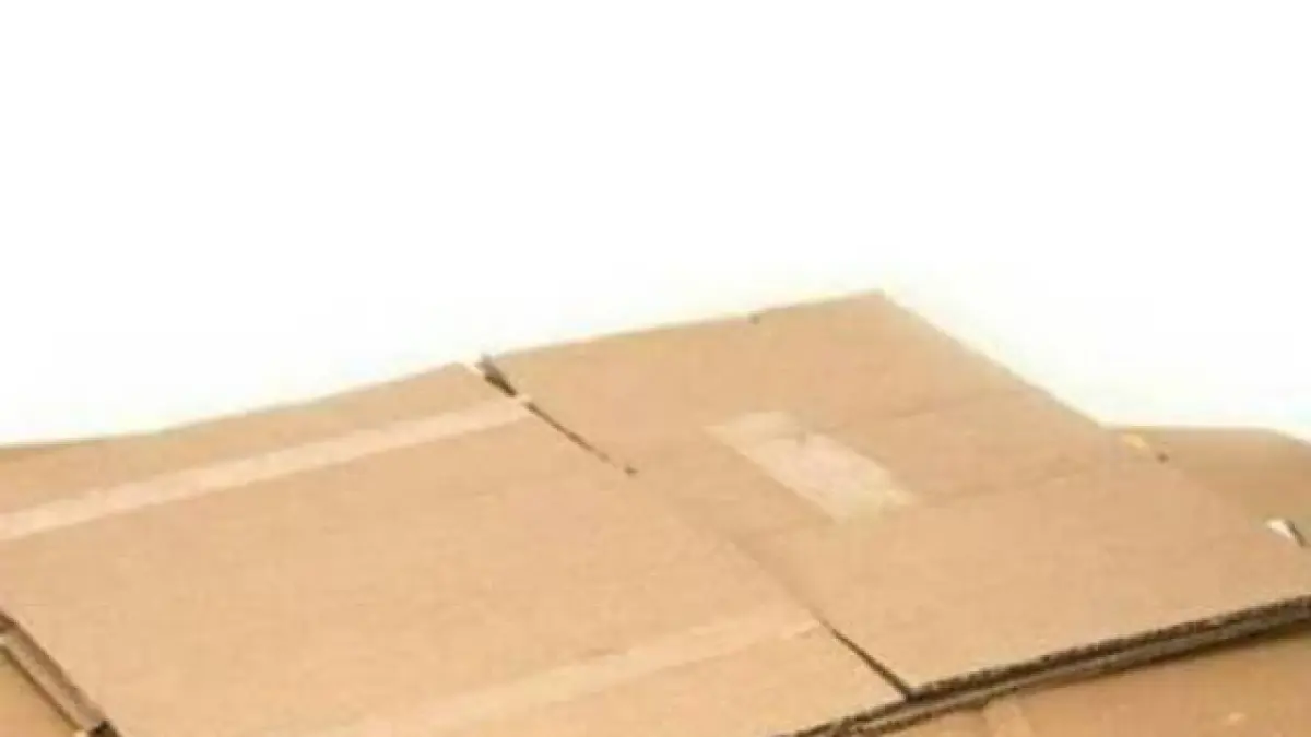 Sulap kardus bekas jadi celengan kotak yang estetik! Langkah mudah kurangi sampah kertas di rumah.