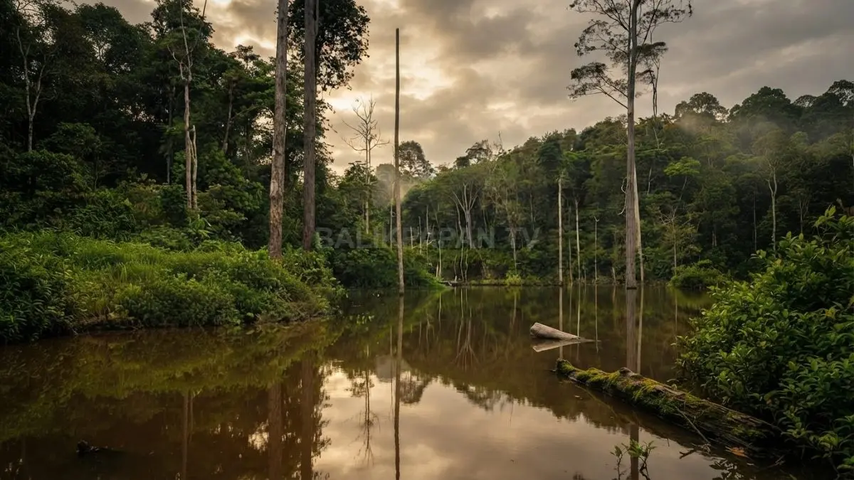 Hamparan pepohonan yang tetap terjaga menjadi penyeimbang pembangunan sekaligus memberikan ruang bagi keanekaragaman hayati. (BTV/AI)