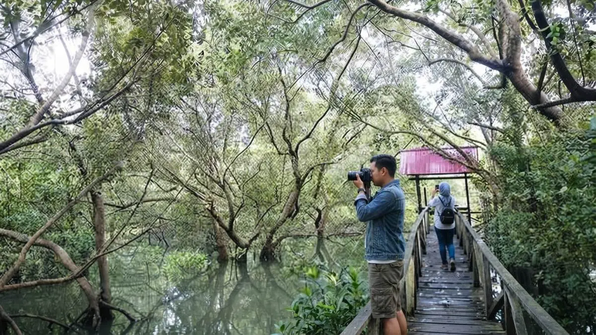 Pengunjung dapat menikmati keindahan alam sambil belajar dan berfoto di kawasan hutan Mangrove Margomulyo. (BTV/Ai)