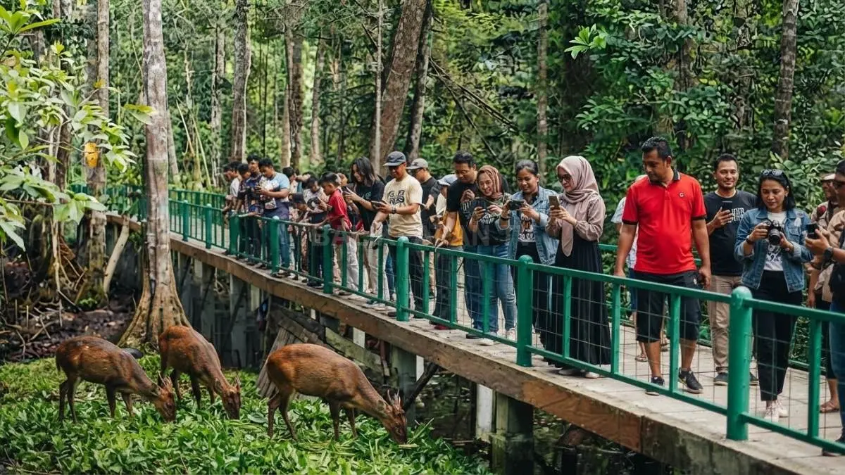 
Pengunjung mengamati rusa dari jalur pejalan kaki di kawasan konservasi Hutan Lindung Sungai Wain, destinasi wisata edukasi alam di Balikpapan. (BTV/AI)
