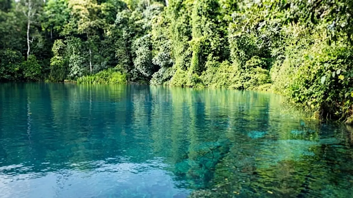 Air jernih Danau Labuan Cermin menciptakan pemandangan memukau yang menjadi daya tarik wisata alam Kalimantan Timur (BTV/AI)