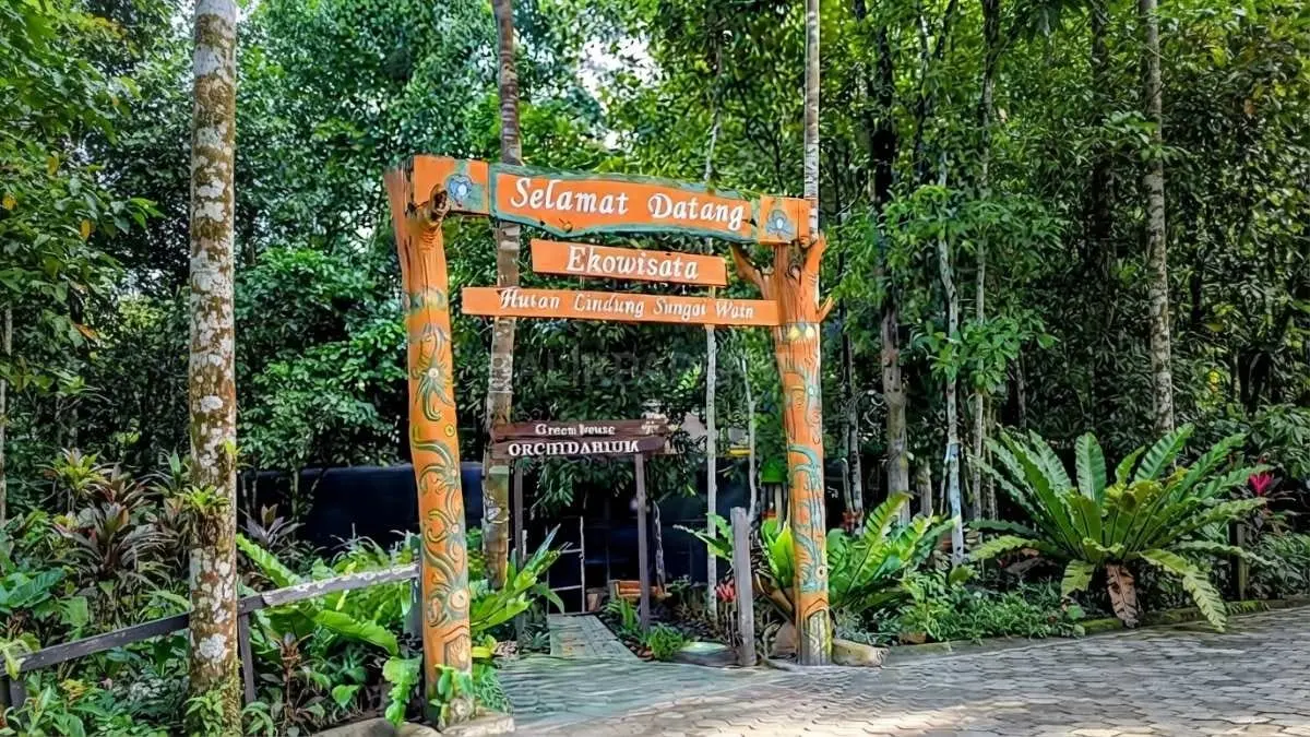 Hutan Lindung Sungai Wain menjaga sumber air, habitat satwa, dan keseimbangan lingkungan Balikpapan hingga kini. [BTV:AI]
