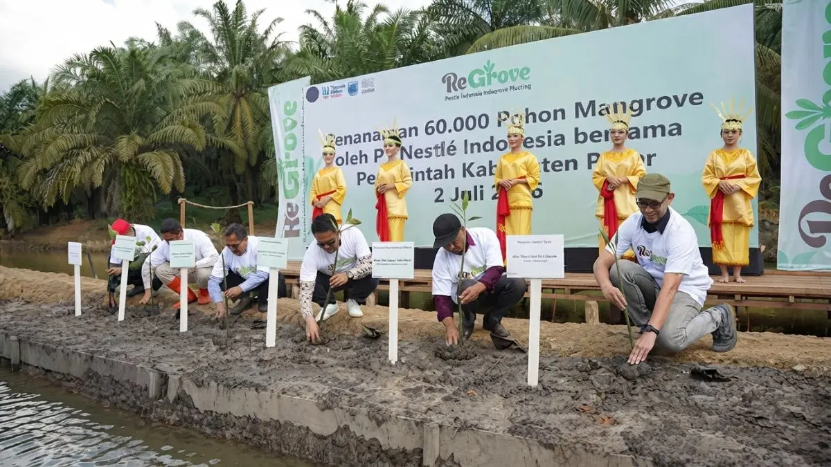 Penanaman 60.000 pohon mangrove di Desa Modang, Kabupaten Paser, sebagai upaya memperkuat restorasi ekosistem pesisir.