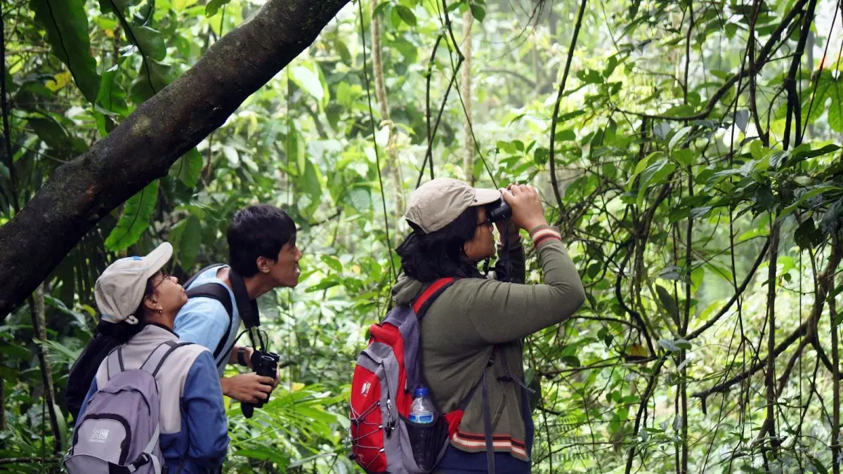 Birdwatcher mengamati burung menggunakan teropong di kawasan hutan, menggambarkan aktivitas utama dalam hobi birdwatching. (BTV/AI)