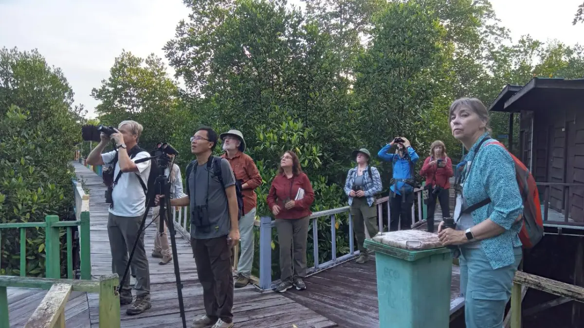 Komunitas birdwatching mengamati berbagai spesies burung di kawasan mangrove. (BTV/AI)