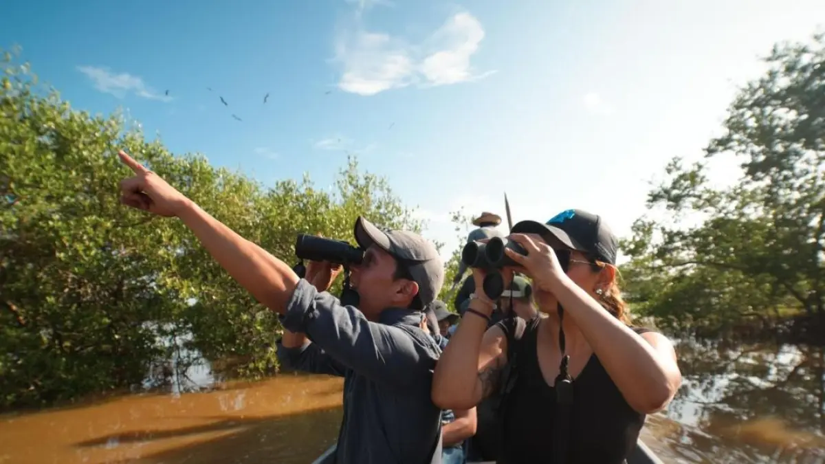 Pengamatan burung di kawasan mangrove Indonesia, menunjukkan lokasi yang menjadi habitat berbagai spesies burung air. (BTV/AI)