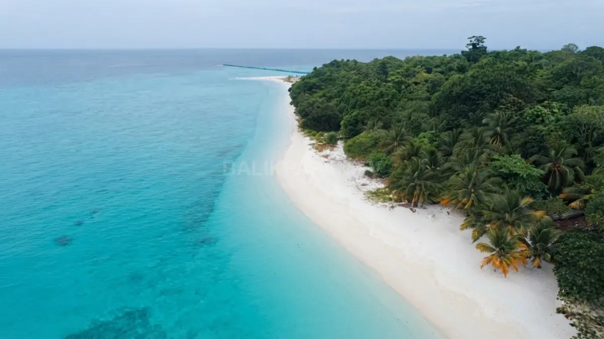Pulau Sangalaki memadukan wisata bahari, konservasi penyu, dan kekayaan ekosistem laut di Kepulauan Derawan Berau (BTV/AI)