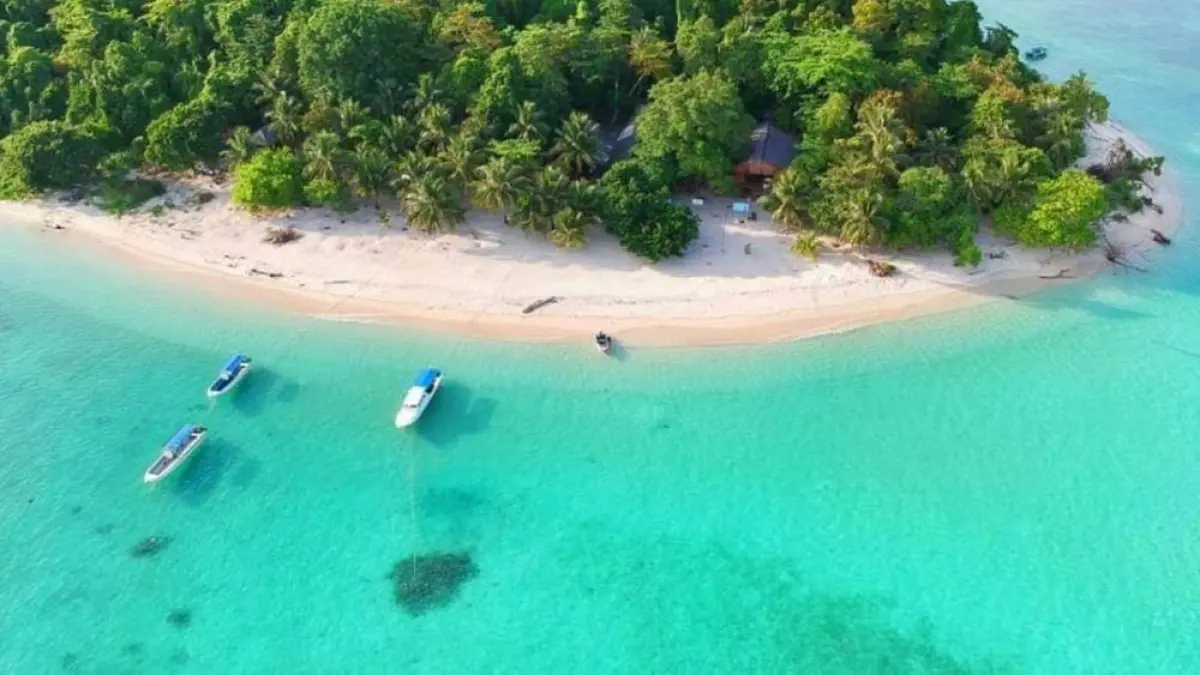 Terumbu karang sehat Pulau Sangalaki menjadi habitat beragam biota laut khas kawasan Coral Triangle (BTV/AI)
