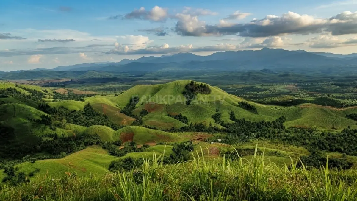 Panorama Bukit Rimpi menghadirkan hamparan perbukitan hijau bergelombang memikat wisatawan sepanjang tahun alami memukau (BTV/AI)