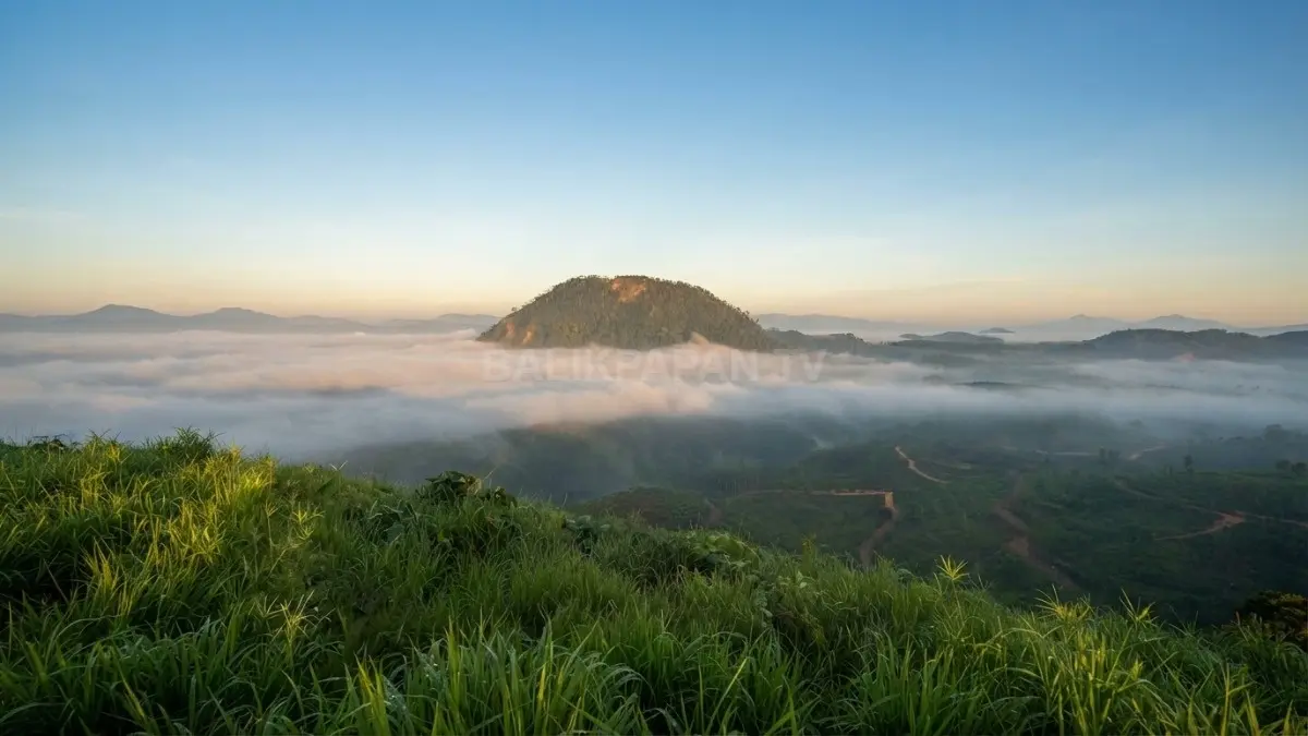 Pemandangan fajar dari puncak bukit Gunung Boga dengan hamparan kabut tebal menyerupai awan putih yang menyelimuti kawasan lembah hijau di bawahnya. (BTV/Ai)