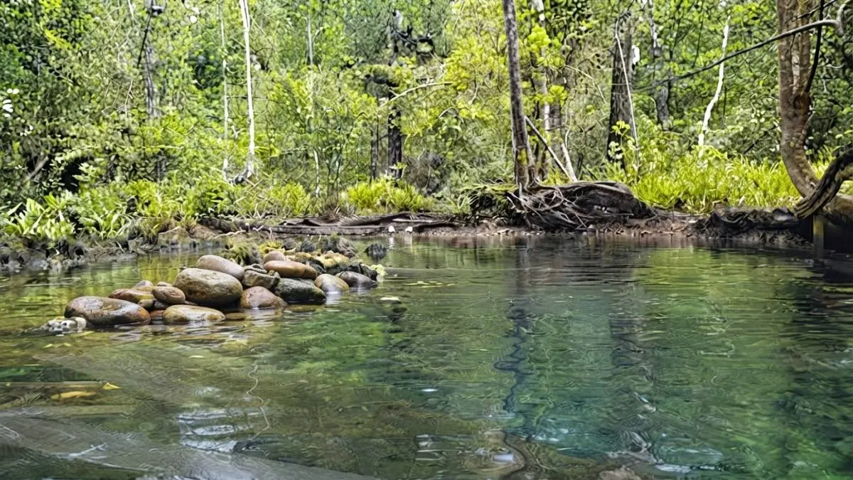 Air Panas Biatan menawarkan wisata alam unik dengan sumber air panas alami di tengah kawasan hutan Berau. (BTV/AI)