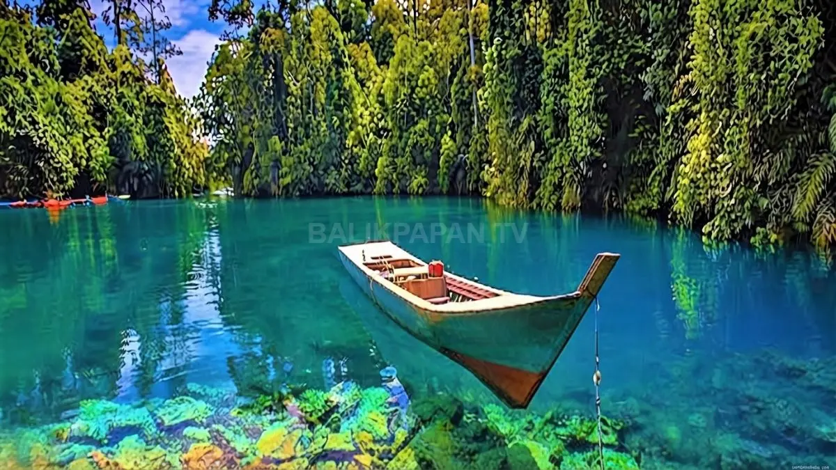 Danau Labuan Cermin di Berau menyuguhkan fenomena air asin dan tawar dalam satu perairan yang jernih. (BTV/AI)
