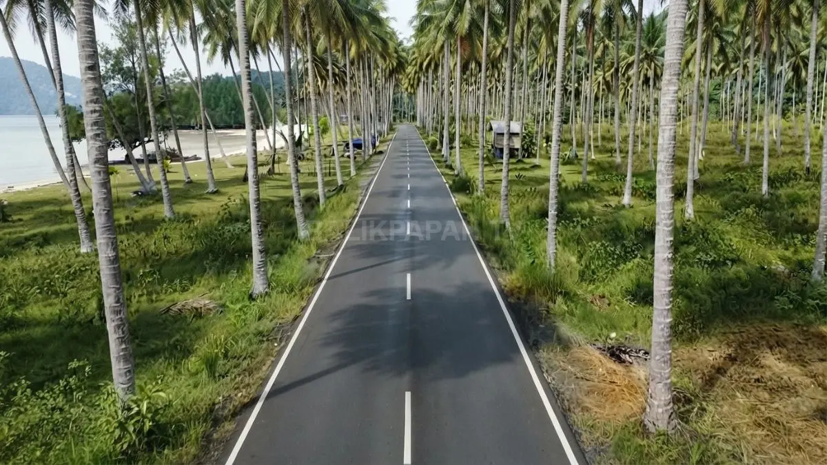 Perjalanan menuju pesisir Berau menghadirkan panorama alam tersembunyi dan pengalaman wisata yang memikat bersama keluarga. (BTV/AI)