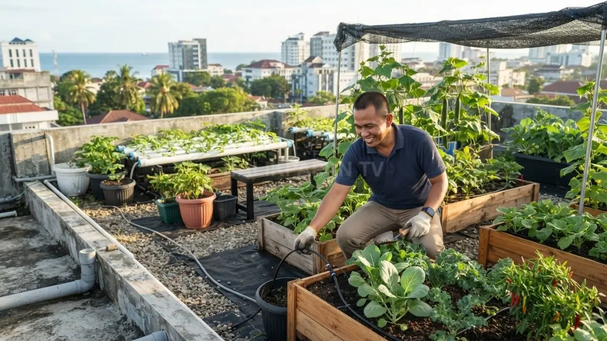 Rooftop garden produktif memanfaatkan atap rumah dengan sistem tanam aman, drainase baik, dan sayuran sehat (BTV/AI)
