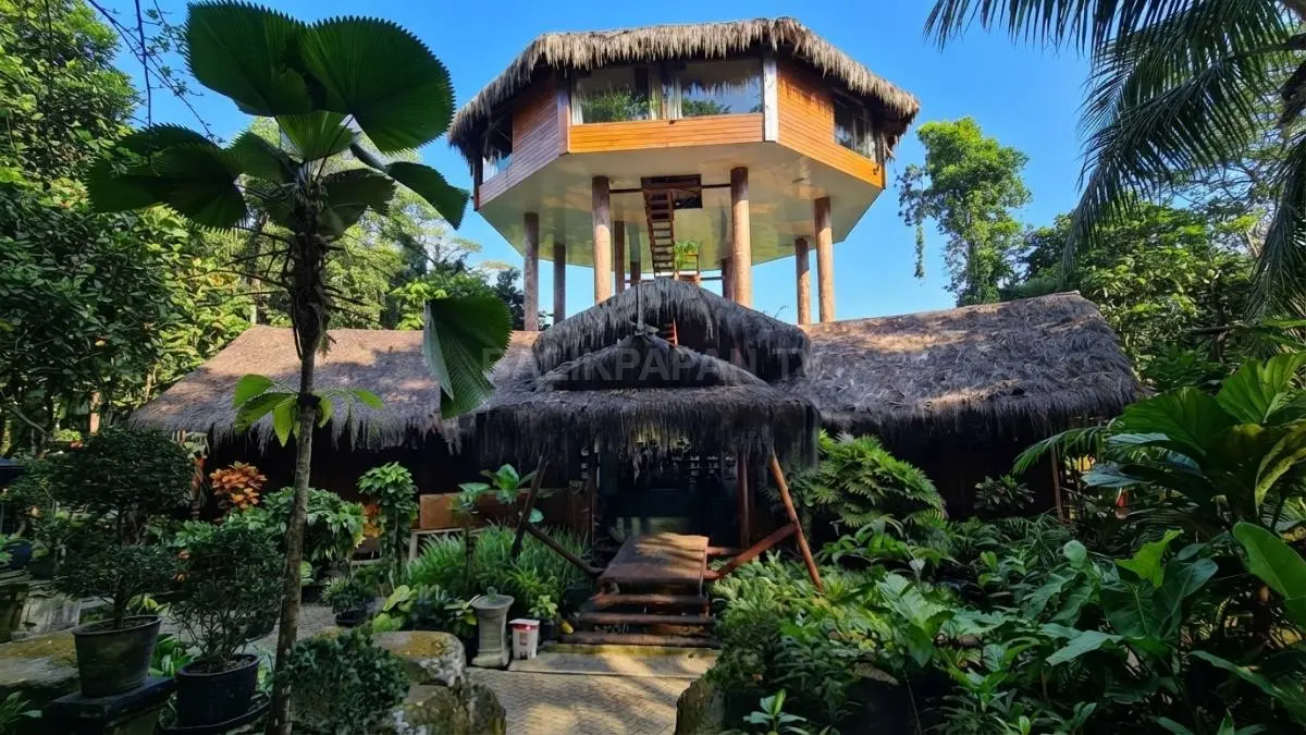 Samboja Lodge menghadirkan pengalaman menginap di tengah hutan konservasi sambil mendukung pelestarian orangutan Kalimantan secara berkelanjutan (BTV/AI)