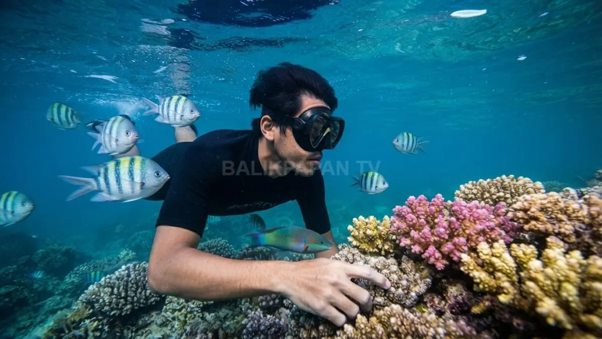 Wisatawan menikmati snorkeling Pulau Lemukutan dengan terumbu karang indah dan ikan tropis di laut Kalimantan Barat (BTV/AI)
